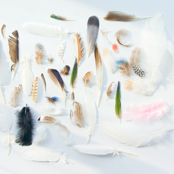 JOELIX.com | Feather collection