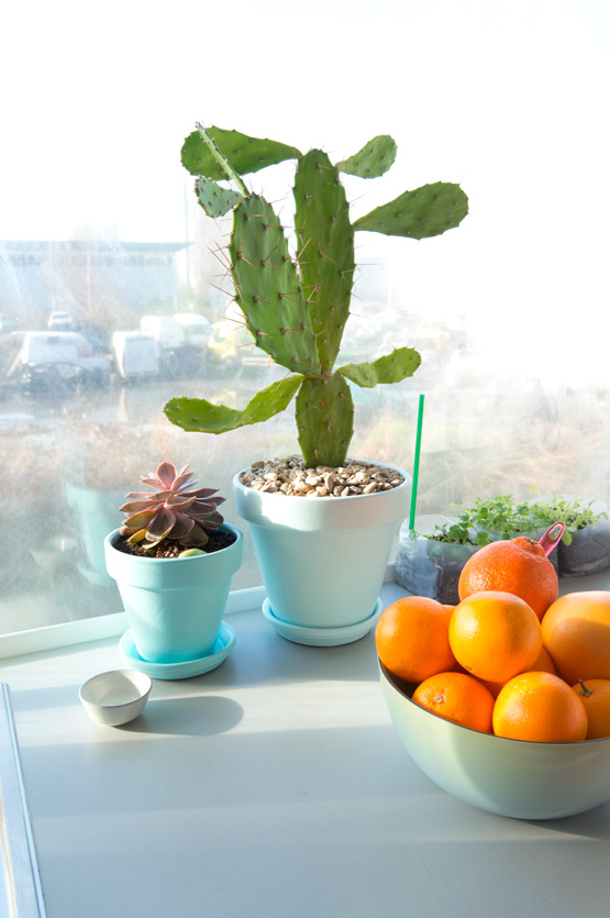 JOELIX.com | Cactus plant and oranges in our kitchen