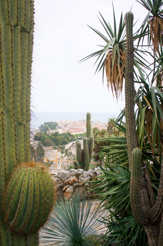 JOELIX.com | Jardin exotique de Monaco