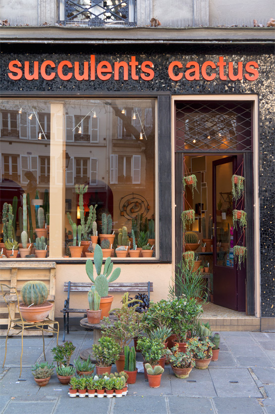 JOELIX.com | Les Succulents Cactus shop in Paris