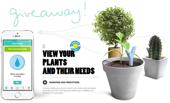 JOELIX.com | Urban Jungle Bloggers about watering your plants + giveaway!