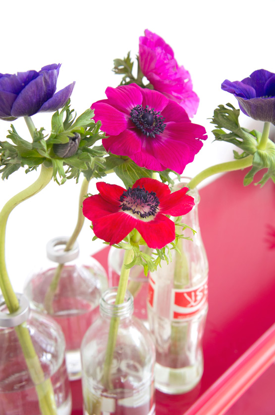 JOELIX.com | Colorful anemones in reused Coca Cola bottles #2flowergirls