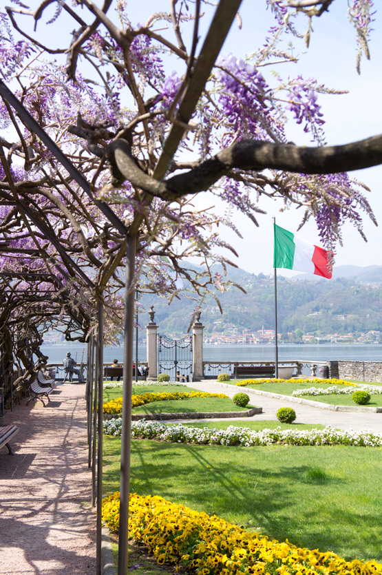 JOELIX.com | Purple wisteria and Italian flag