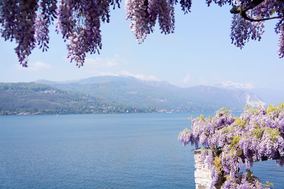 JOELIX.com | Purple wisteria on the Lago Maggiore