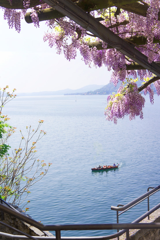 JOELIX.com | Purple wisteria at the Lago Maggiore in Italy