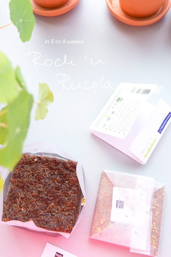 JOELIX.com | Rock 'n Rucola growing your own vegetable herb garden