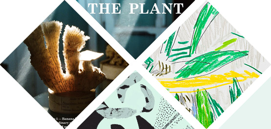 JOELIX.com | Urban Jungle Bloggers - social green inspiration - The Plant journal magazine