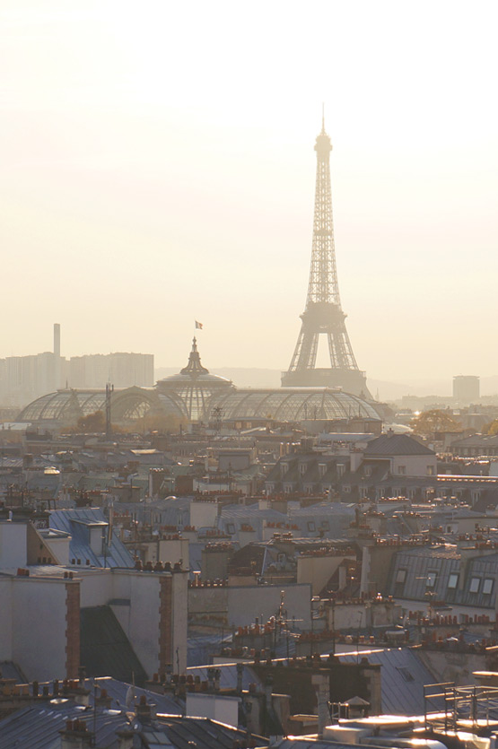 JOELIX.com | Paris rooftops Eiffel tower