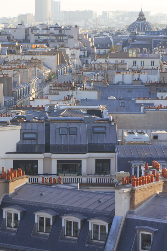 JOELIX.com | Paris rooftops Eiffel tower