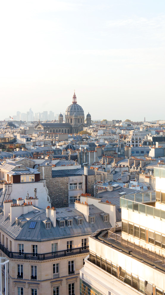 JOELIX.com | Paris rooftops Eiffel tower