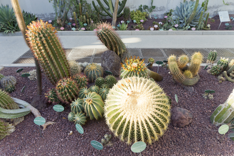 JOELIX.com | Real Jardín Botánico de Madrid