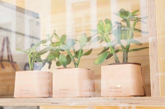 JOELIX.com | Ally Capellino London for #urbanjunglebloggers