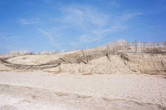 JOELIX.com | la Baie de Somme beach and dunes