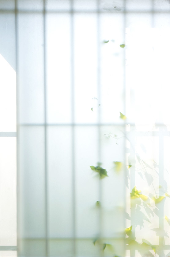 Light shining through a milky bathroom window