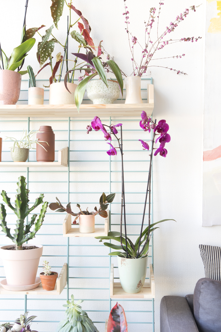 JOELIX.com | A bloomifique plantshelfie