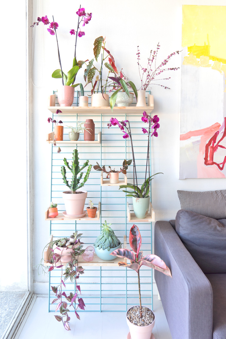 JOELIX.com | A bloomifique plantshelfie