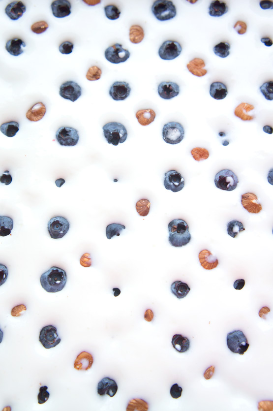 JOELIX.com | Blueberry Yogurt Granola Bars