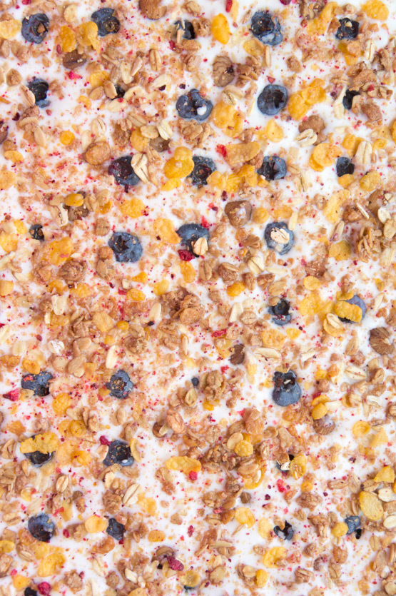 JOELIX.com | Blueberry Yogurt Granola Bars