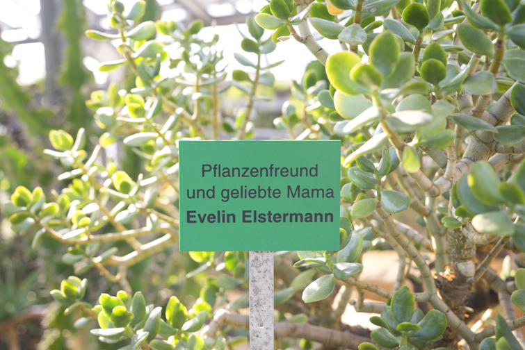 JOELIX.com | Botanic Garden in Berlin