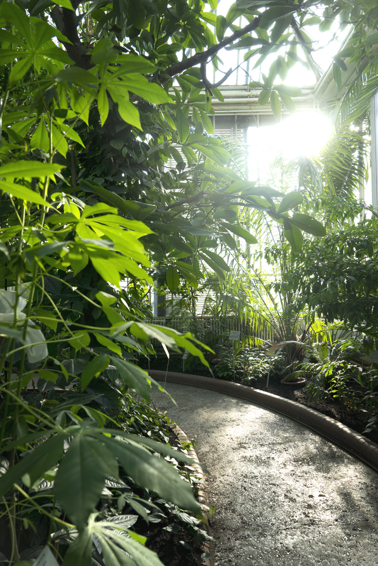 JOELIX.com | Botanic Garden in Berlin