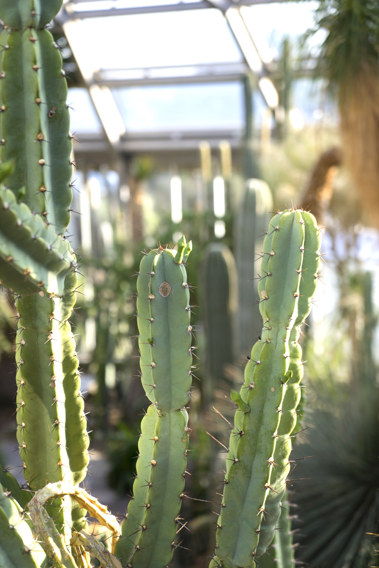 JOELIX.com | Botanic Garden in Berlin