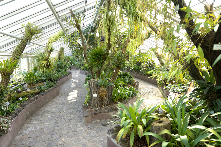 JOELIX.com | Botanic Garden in Berlin