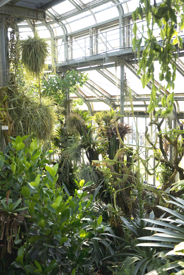 JOELIX.com | Botanic Garden in Berlin