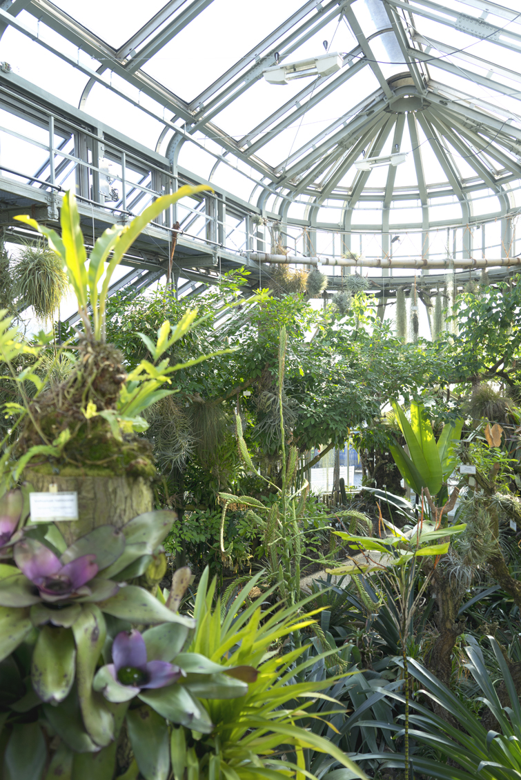 JOELIX.com | Botanic Garden in Berlin