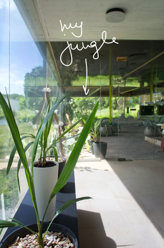 JOELIX.com | My jungle