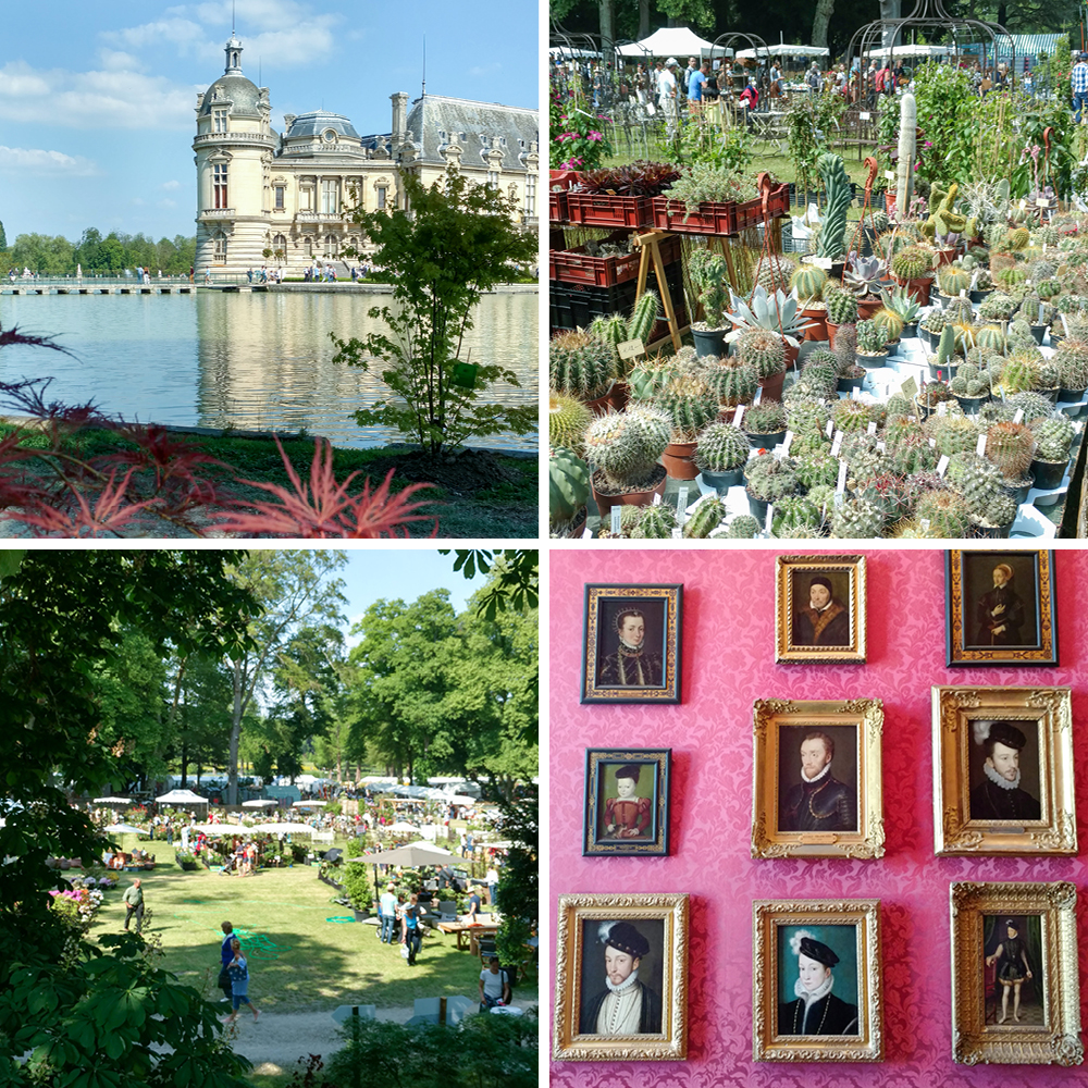 JOELIX.com | Journées des Plantes in Chantilly 2018 #journeesdesplantes #chantilly #succulents