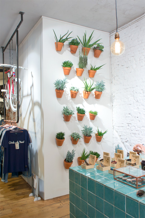 JOELIX.com | Circle of Trust concept store Amsterdam with succulents