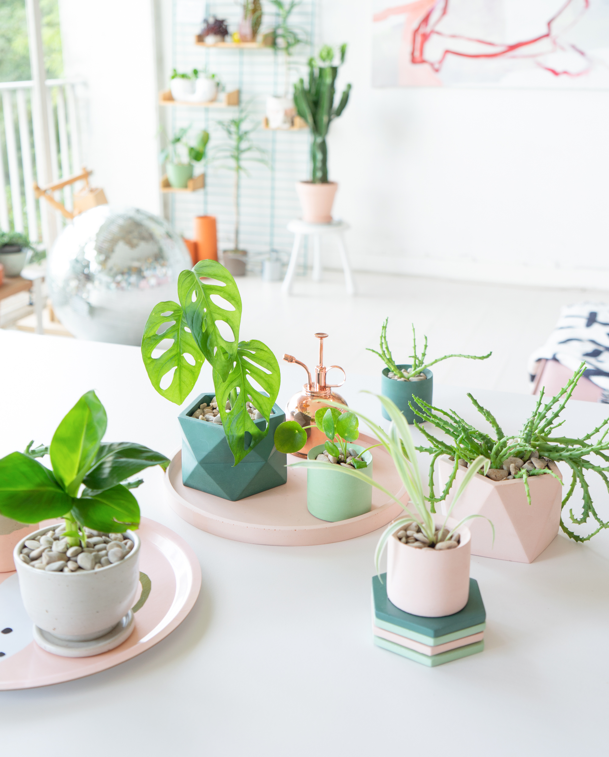 JOELIX.com | Pastel Paradise with concrete pots by House Raccoon #urbanjunglebloggers #houseraccoon #concretepots