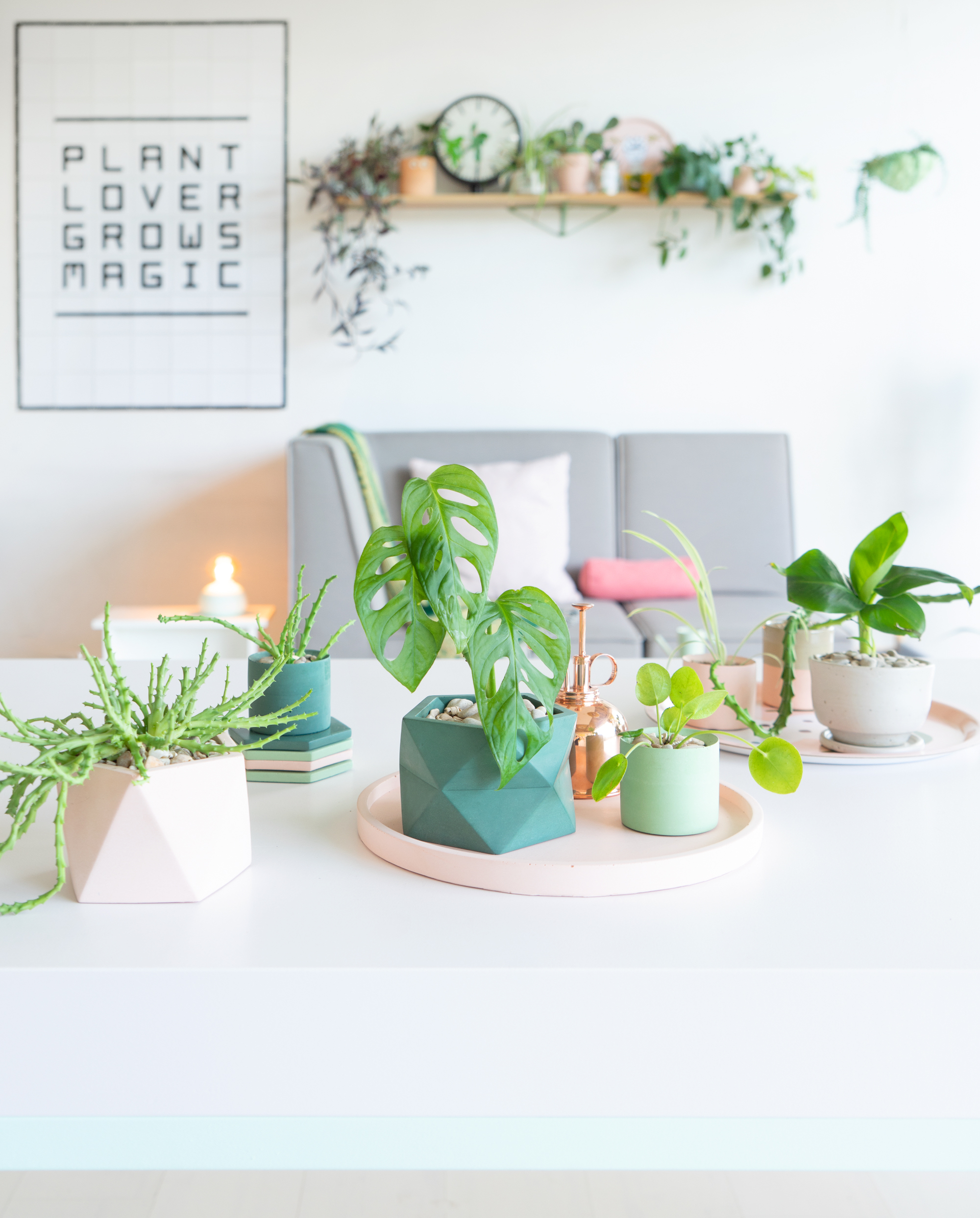 JOELIX.com | Pastel Paradise with concrete pots by House Raccoon #urbanjunglebloggers #houseraccoon #concretepots