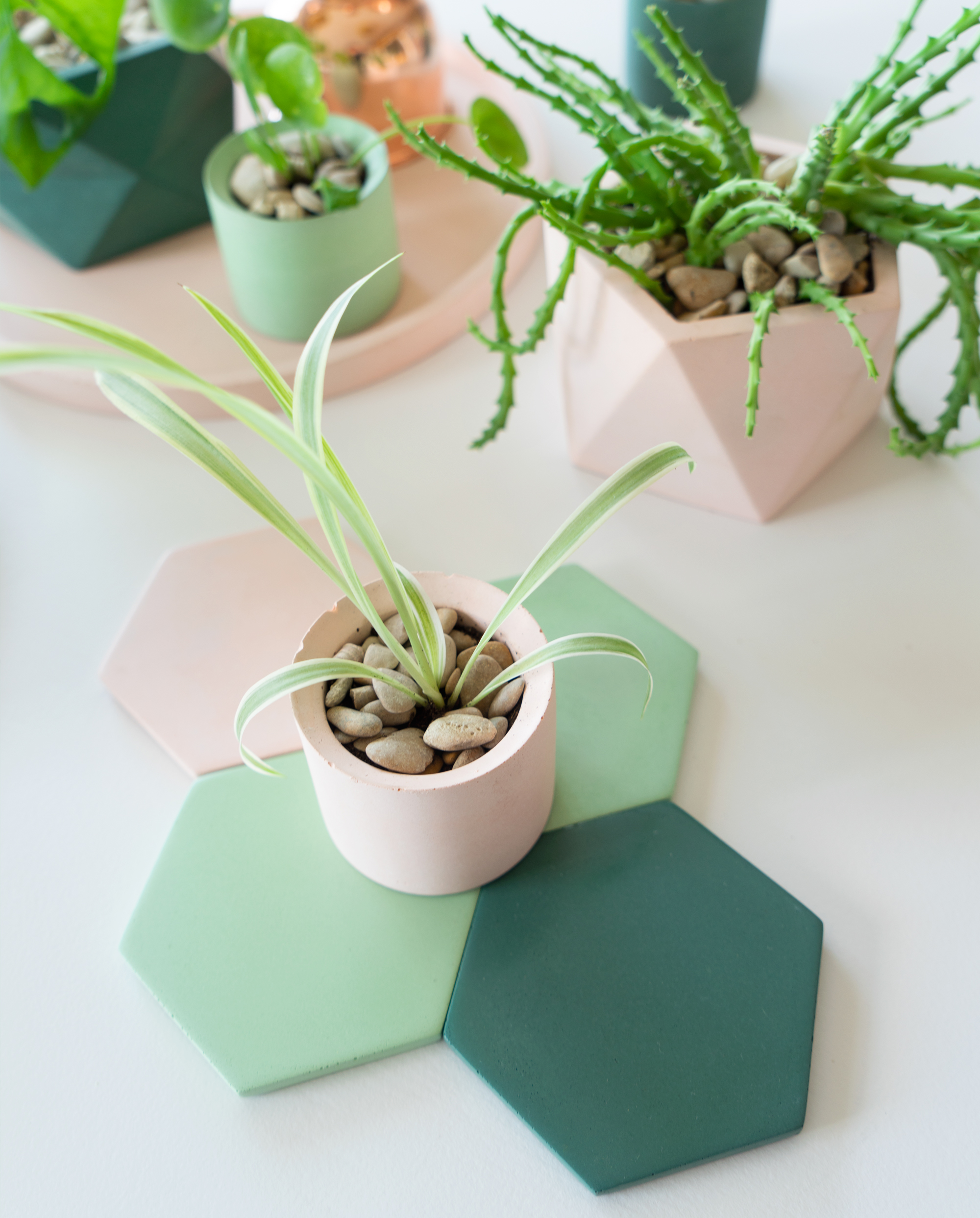 JOELIX.com | Pastel Paradise with concrete pots by House Raccoon #urbanjunglebloggers #houseraccoon #concretepots