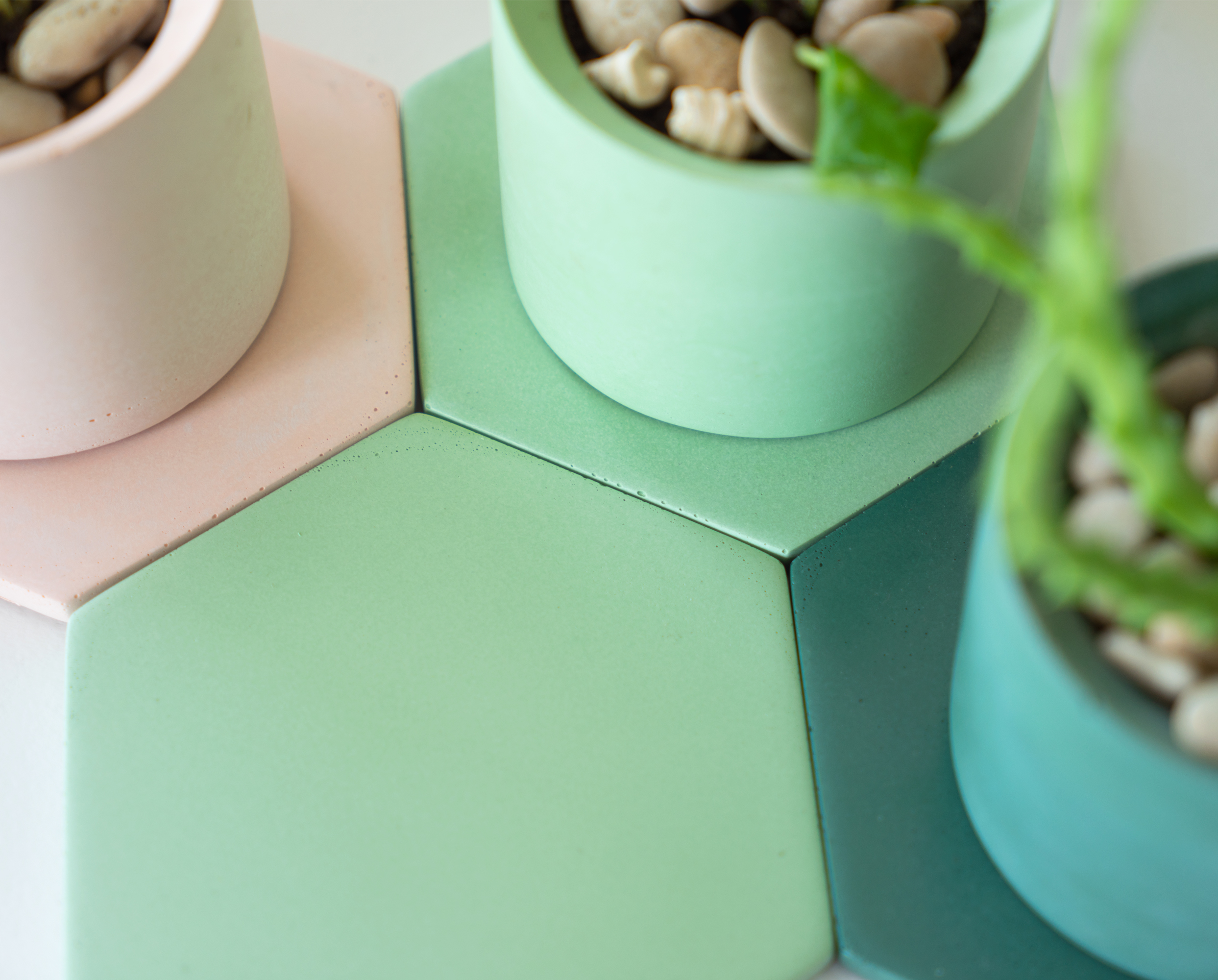 JOELIX.com | Pastel Paradise with concrete pots by House Raccoon #urbanjunglebloggers #houseraccoon #concretepots