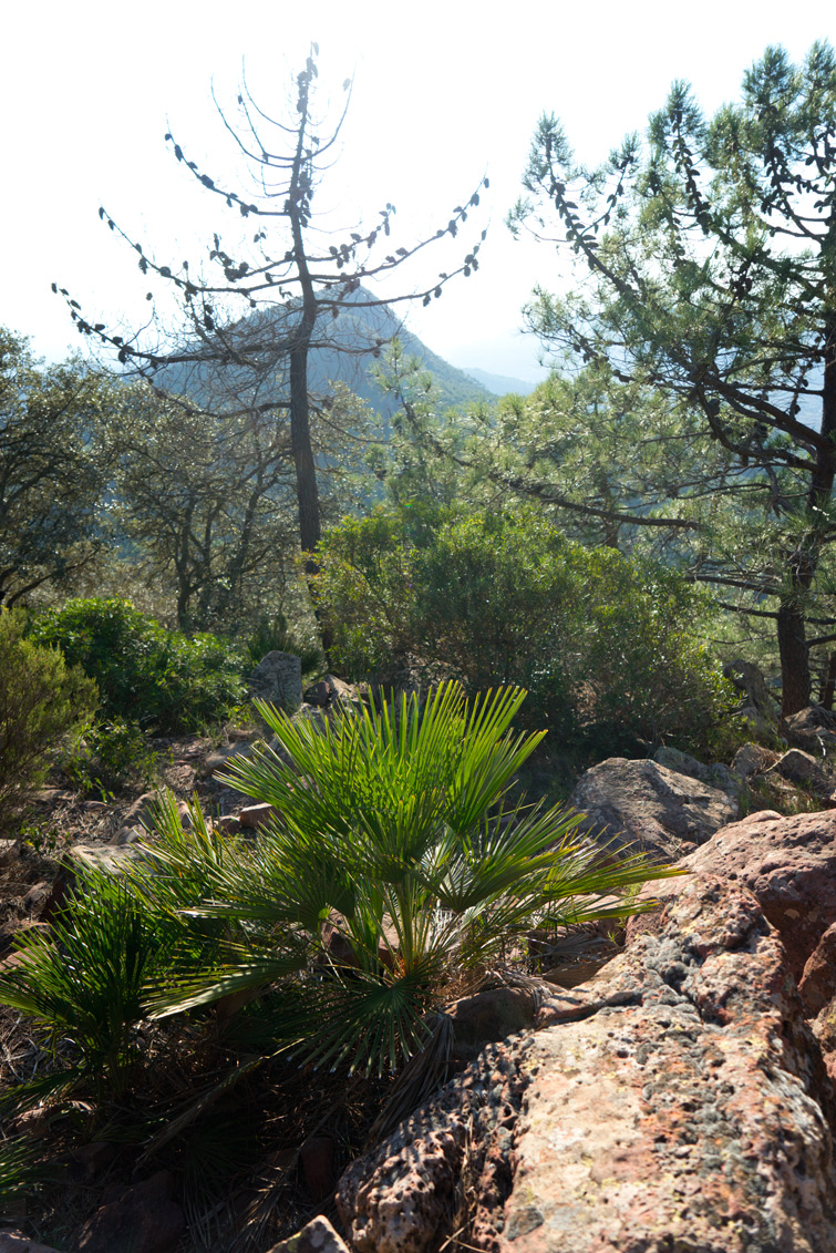 JOELIX.com | Desert de Les Palmes, Castellón Spain