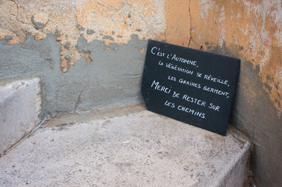 JOELIX.com | Domaine du Rayol