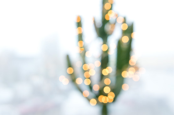 JOELIX.com | Merry & Bright