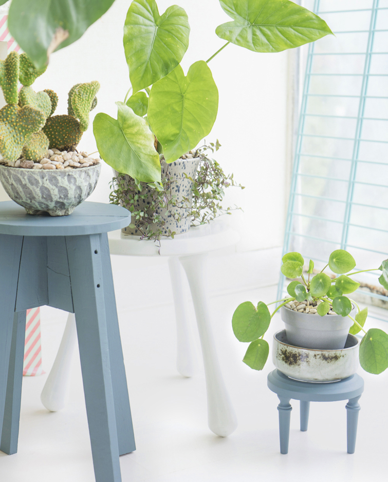 JOELIX.com | Steel blue stool with plants