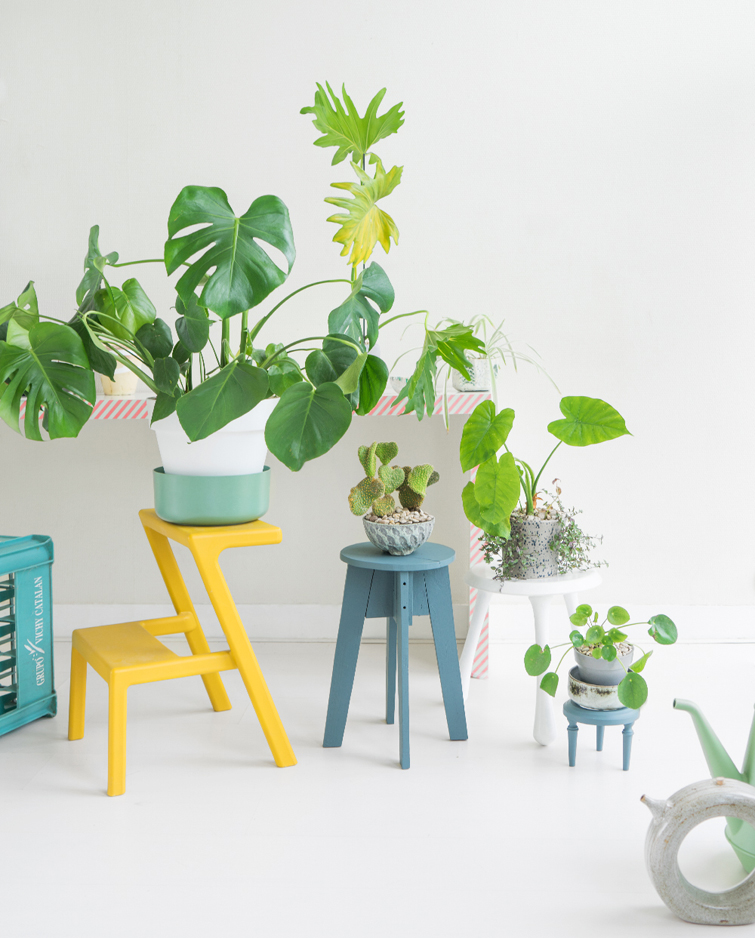JOELIX.com | Steel blue stool with plants