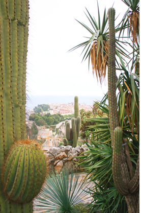 JOELIX.com | My favorite urban jungles of 2013 jardin exotique de Monaco