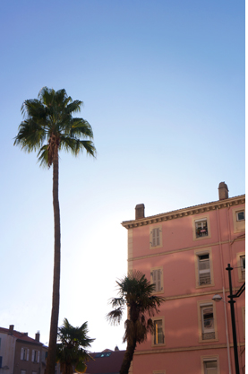 JOELIX.com | Goodbye 2013 Palm tree in Cannes, Côte d'Azur, French Riviera