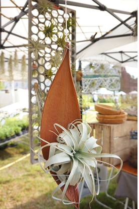 JOELIX.com | My favorite urban jungles of 2013 Tillandsia air plants