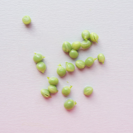 JOELIX.com | Sweet green peas