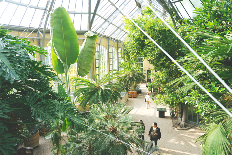 JOELIX.com | Hortus Botanicus in Amsterdam