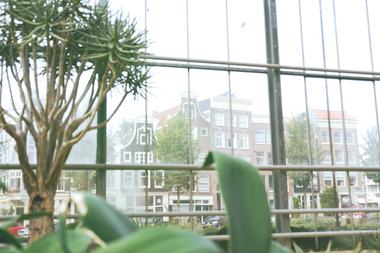 JOELIX.com | Hortus Botanicus in Amsterdam