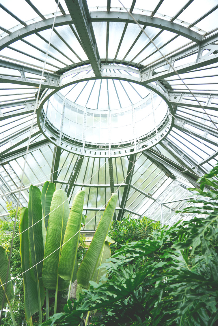 JOELIX.com | Hortus Botanicus in Amsterdam