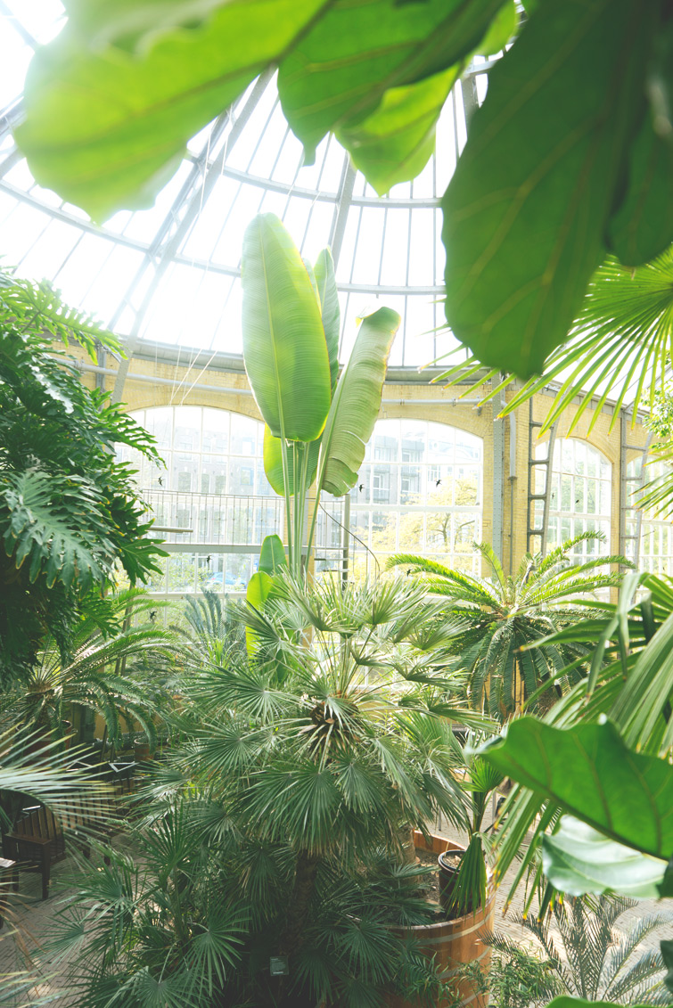 JOELIX.com | Hortus Botanicus in Amsterdam