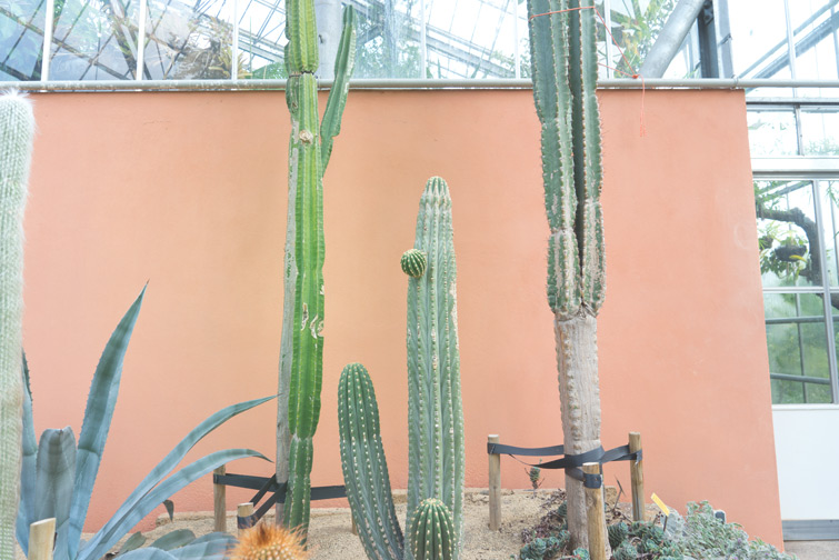 JOELIX.com | Hortus Botanicus in Amsterdam