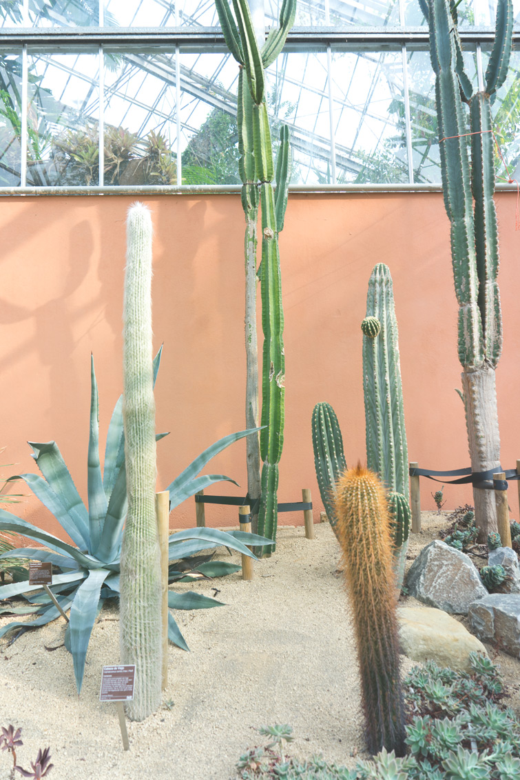 JOELIX.com | Hortus Botanicus in Amsterdam